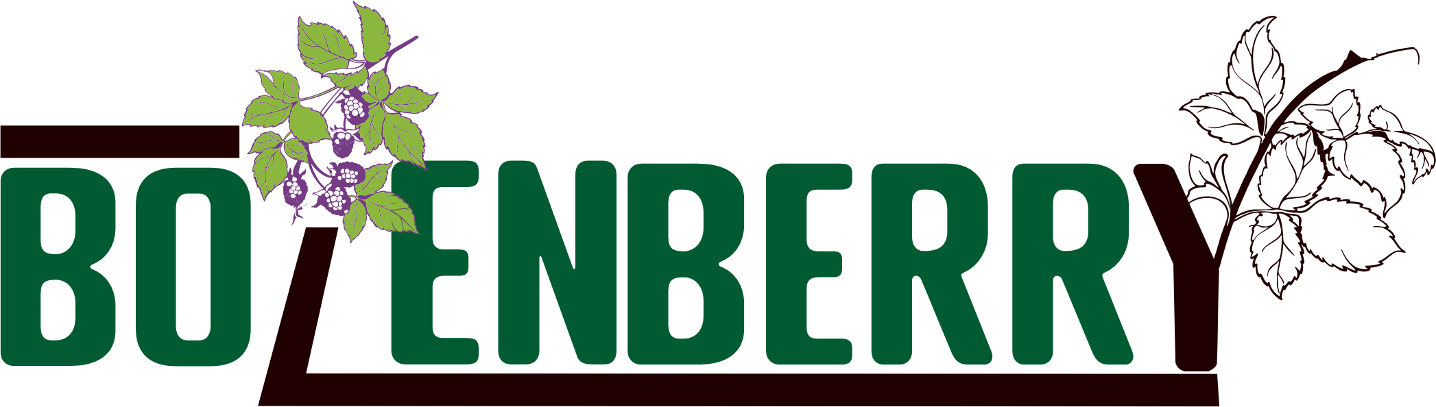 Bozenberry logo Newgreen Bs Final approved edit 001